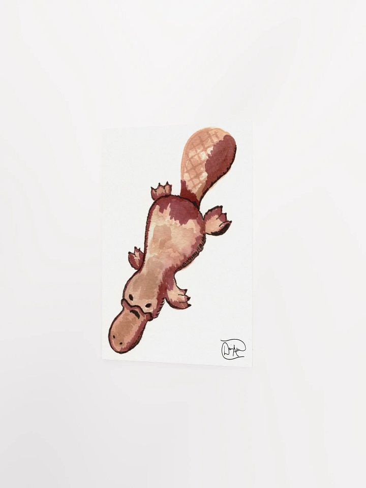 Platypus #66768 Watercolour Print product image (2)