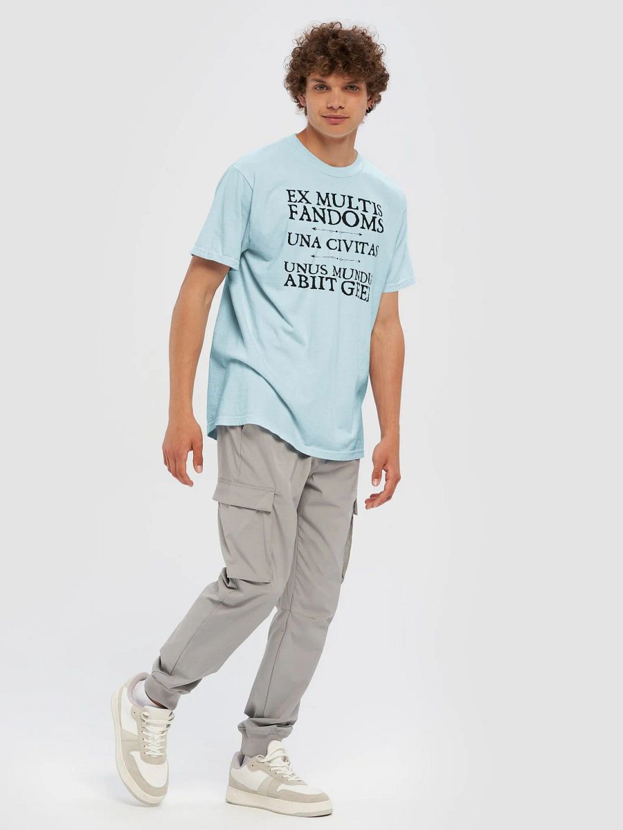 World Gone Geek Latin Motto Tee product image (7)