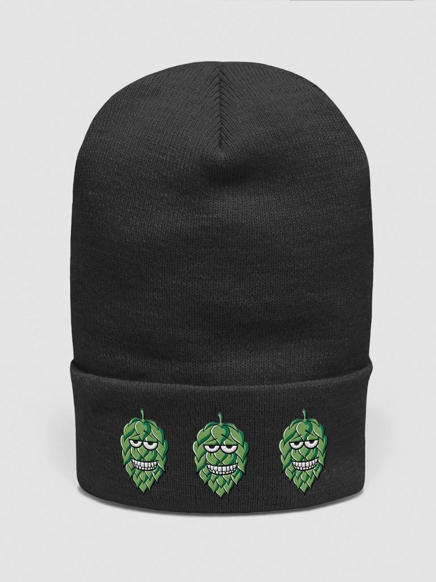Hoppy Season Cuffed Beanie product image (1)