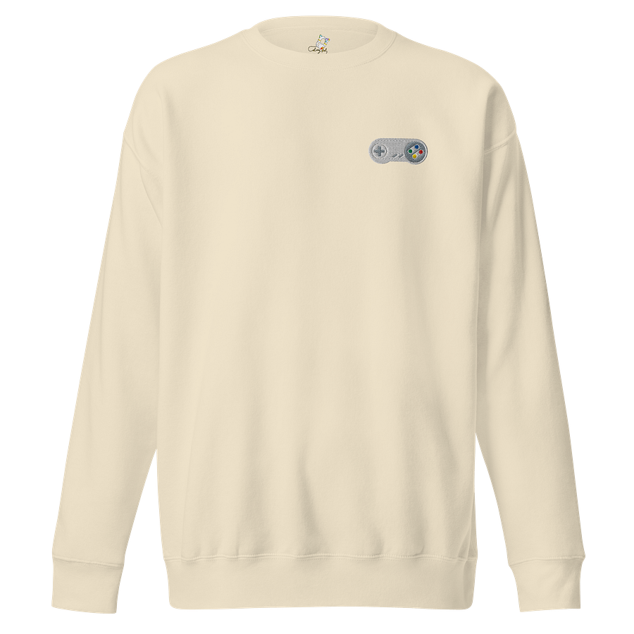 Classically Trained Embroidered Sweatshirt product image (16)