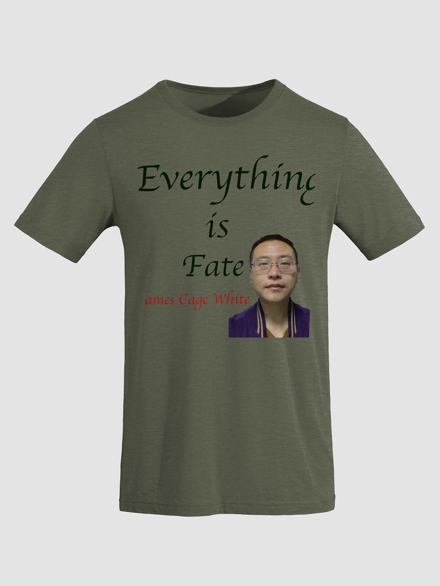 Bella+Canvas Triblend Short Sleeve T-Shirt: fate product image (35)