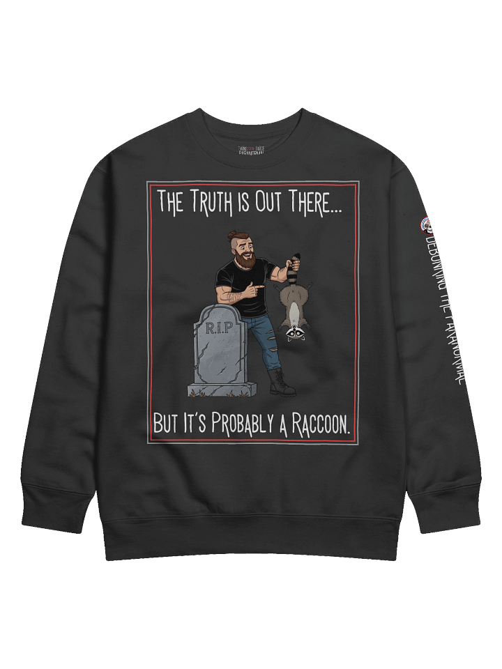 Probably a Raccoon Pullover Sweater product image (1)