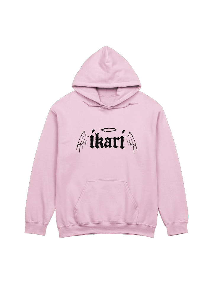 WINGS LOGO HOODIE product image (1)