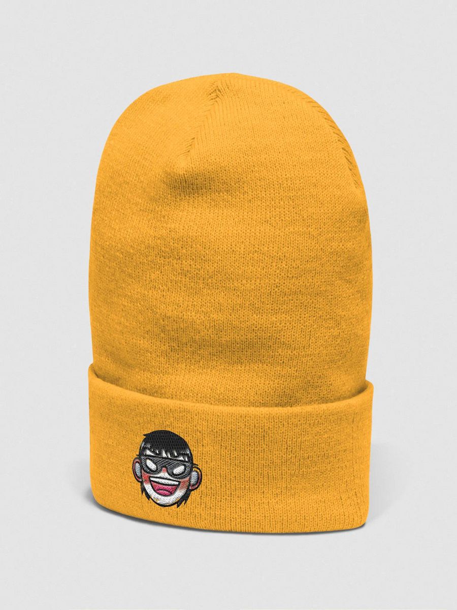 SwiperBeanie - Content Thief product image (8)