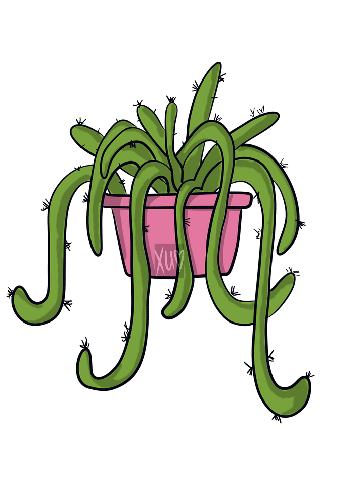 Hanging Plant product image (1)