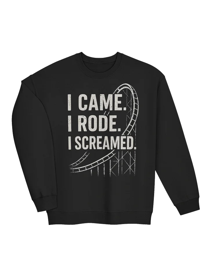 I Came, I Rode, I Screamed – Funny Roller Coaster Sweatshirt for Theme Park Fans product image (2)
