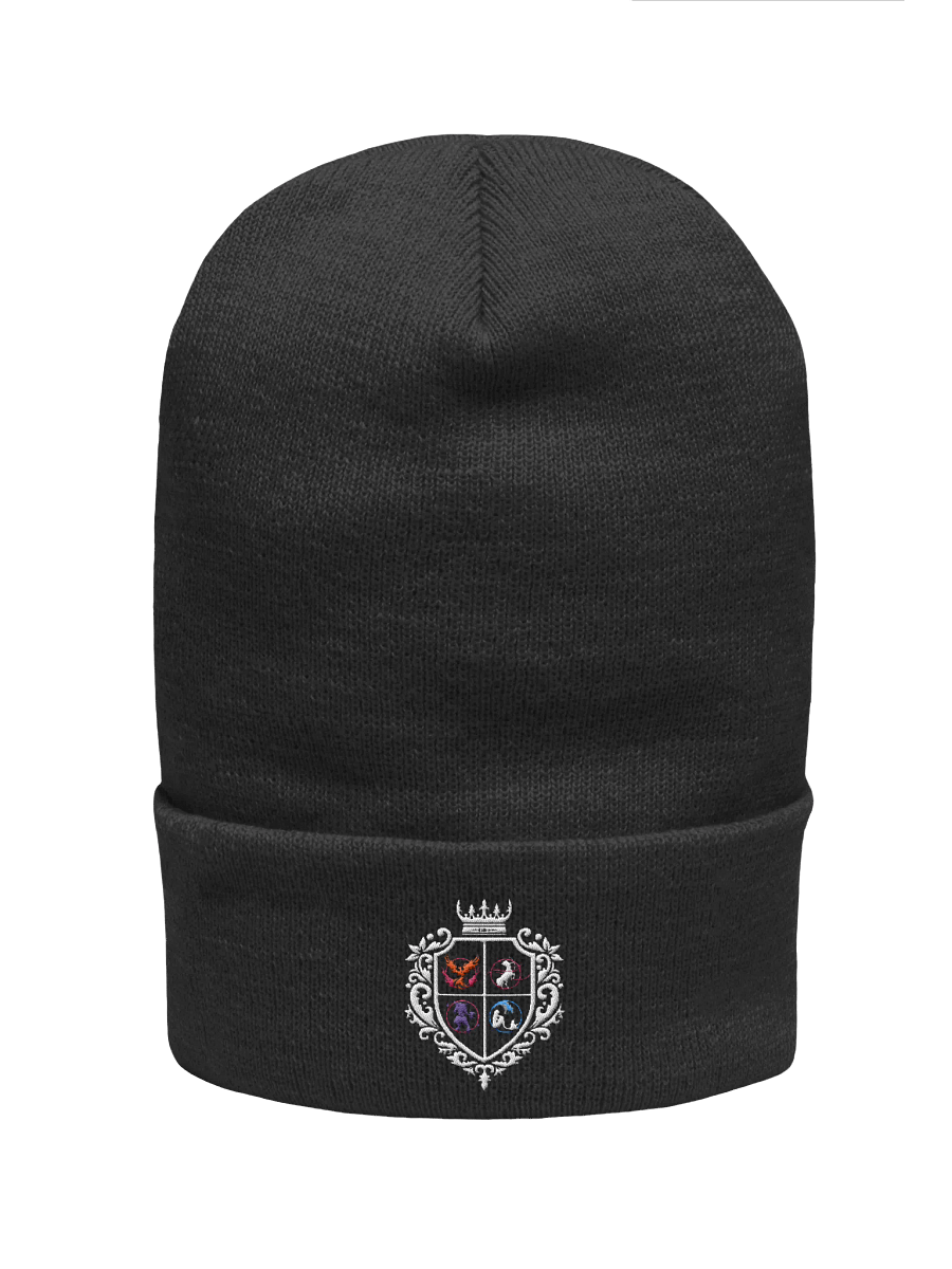 Dezcimator black beanie product image (1)