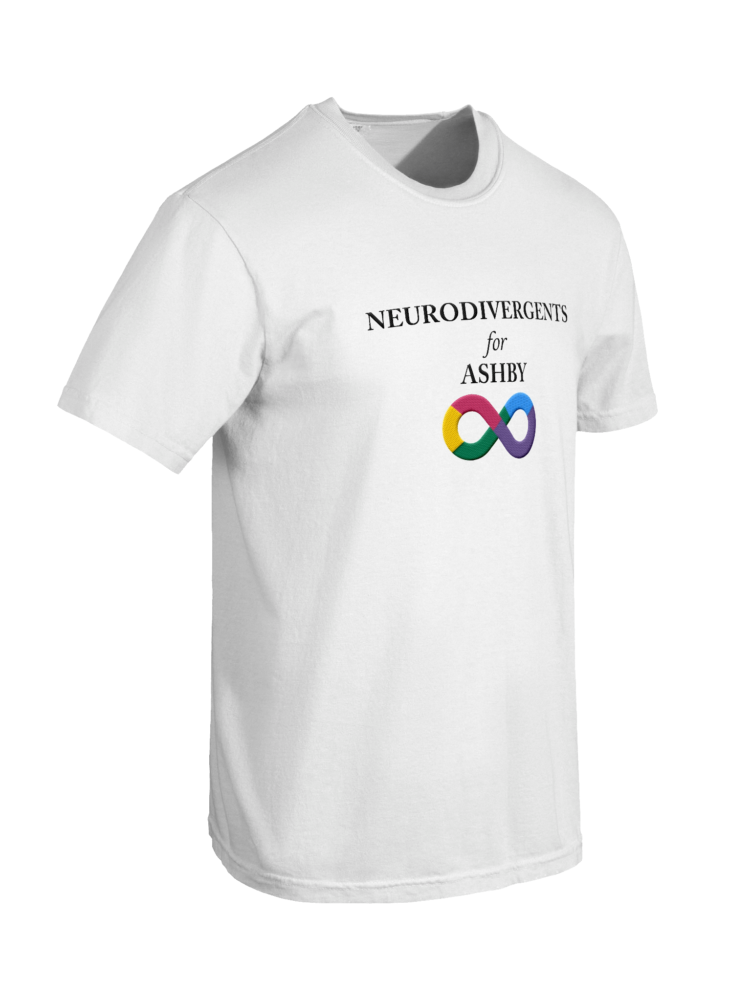 NEURODIVERGENTS 4 ASHBY TSHIRT (embroidered) product image (8)