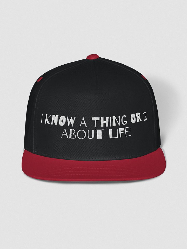 Urgers About Life Snapback Hat product image (2)
