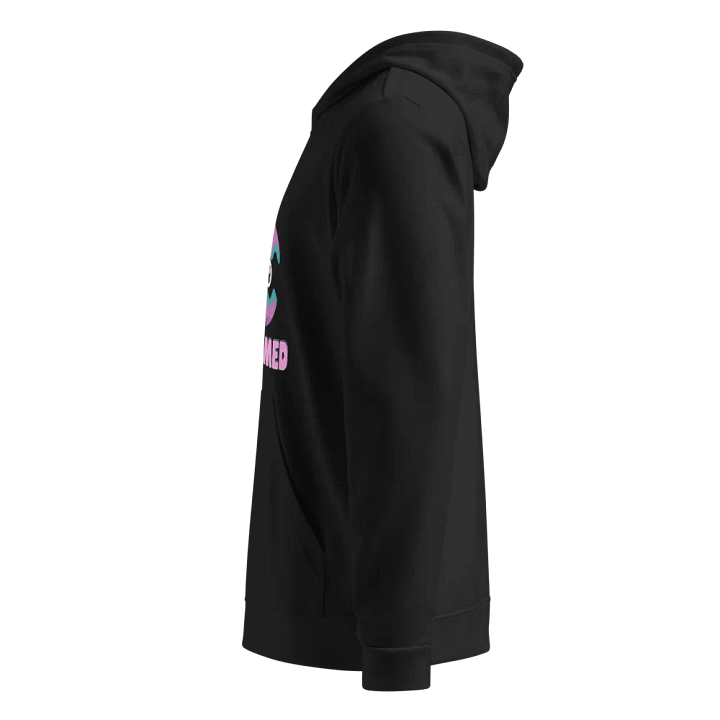 GCS Graphic Hoodie product image (2)