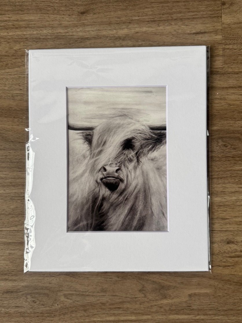 highland cow charcoal print product image (1)