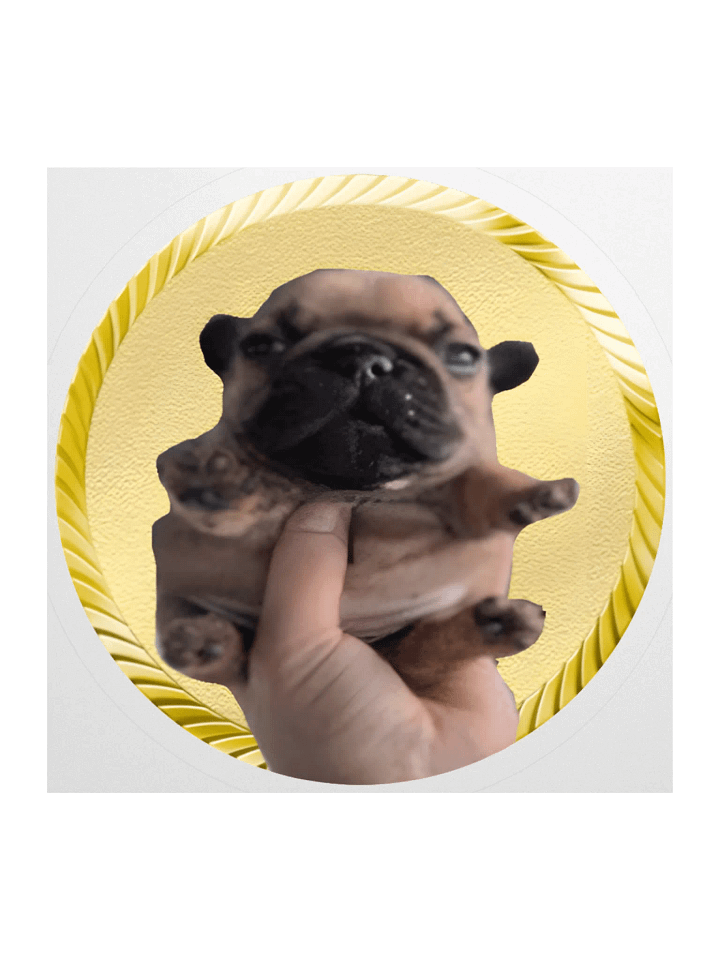 the dog STICKERS! product image (2)