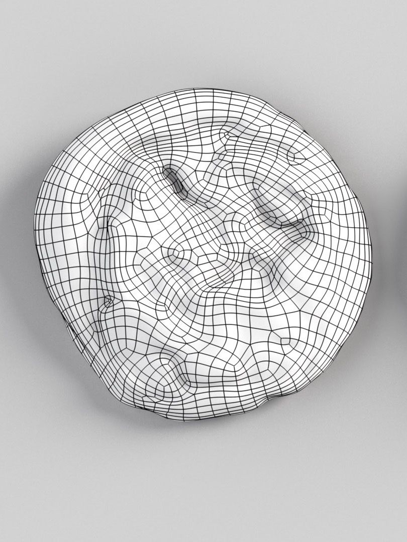 Vanilla Cookie - 3D Scan product image (3)