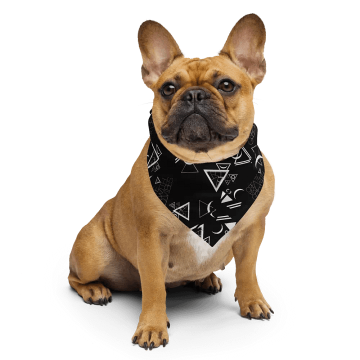 Luphoric Patterned Bandana Black product image (1)