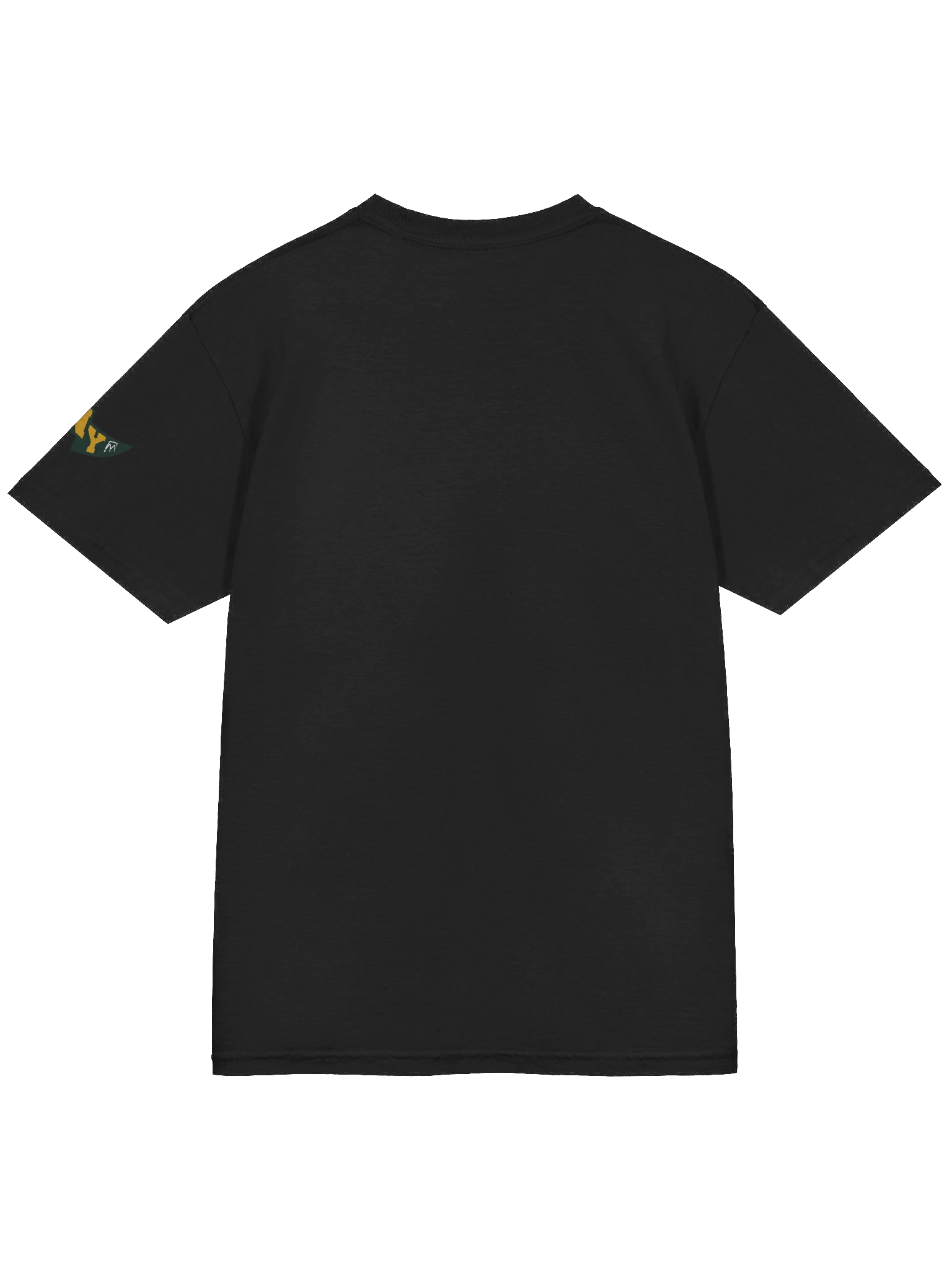 Green Bay, Welcome to Football Tee product image (25)