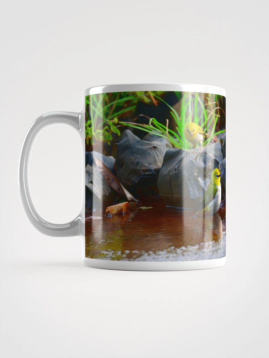 IUCAA Birds MUG product image (6)
