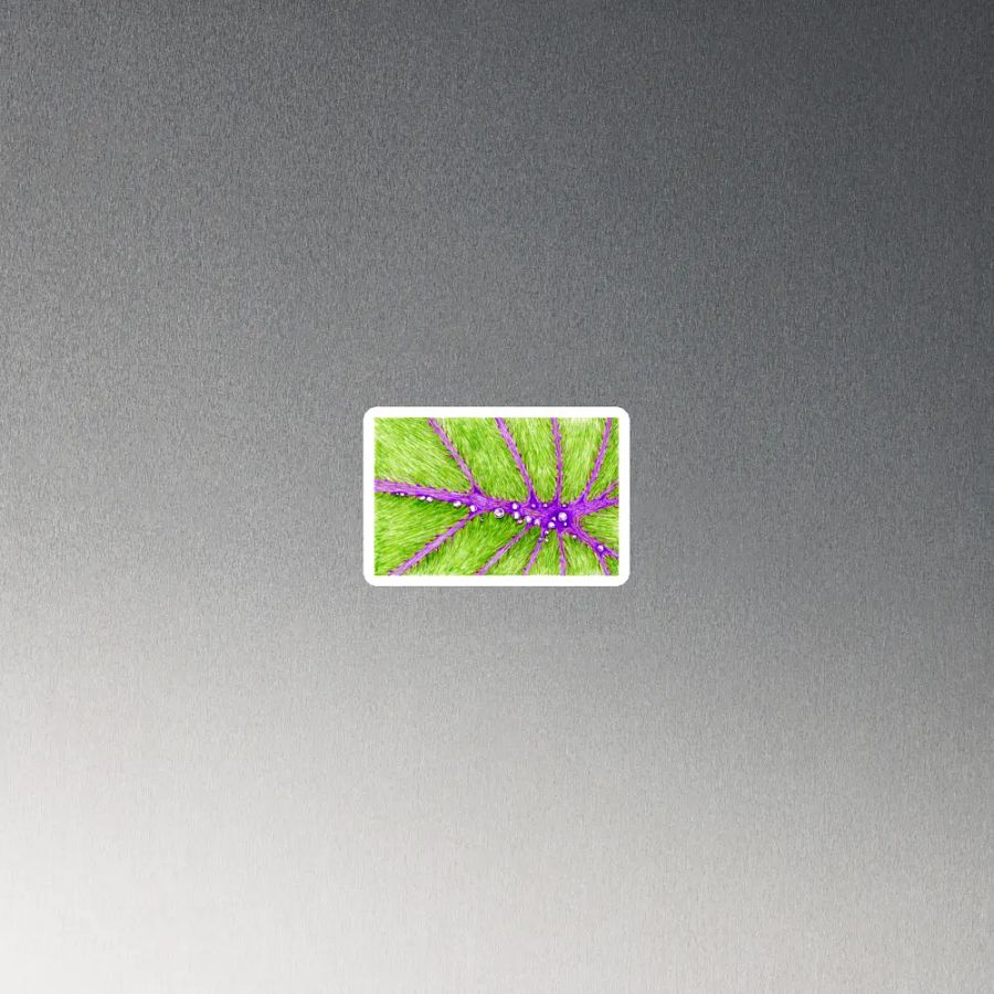 Magnet - 2022 Sketch 40 product image (4)