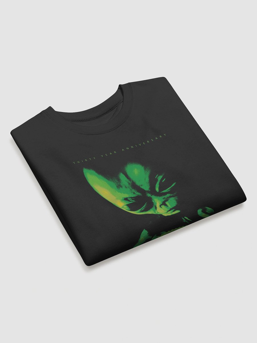 Ozark Mountain UFO Conference Logo 2017 product image (24)