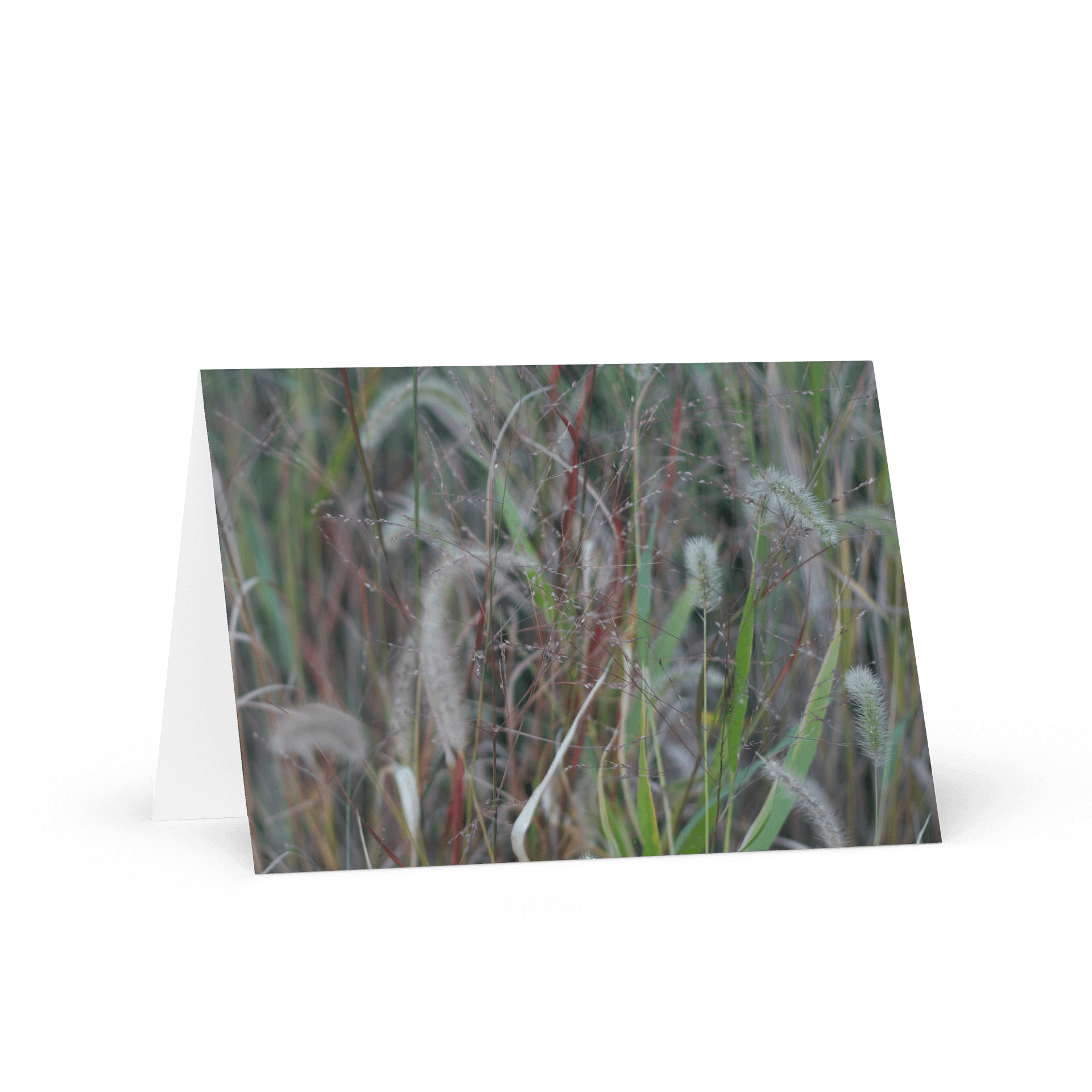 Nature's Beauty Greeting Card product image (1)