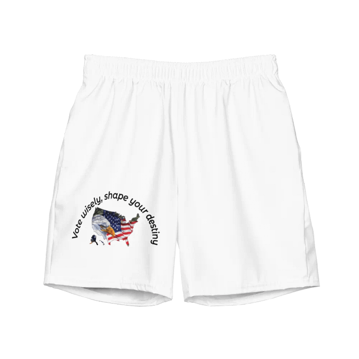 Vote wisely, shape your destiny. product image (2)