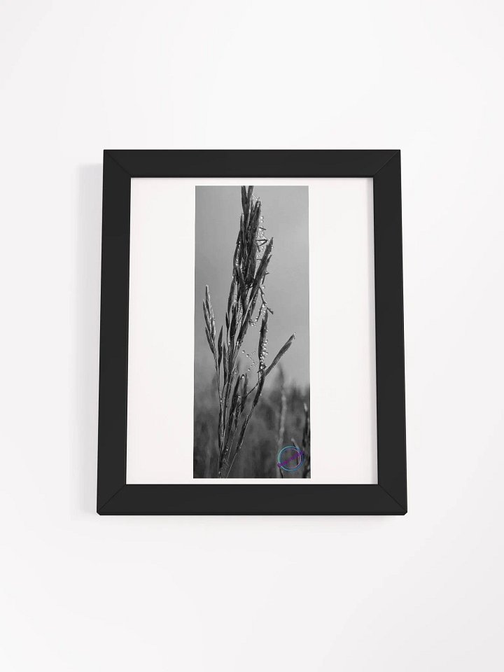 Dewy web product image (2)