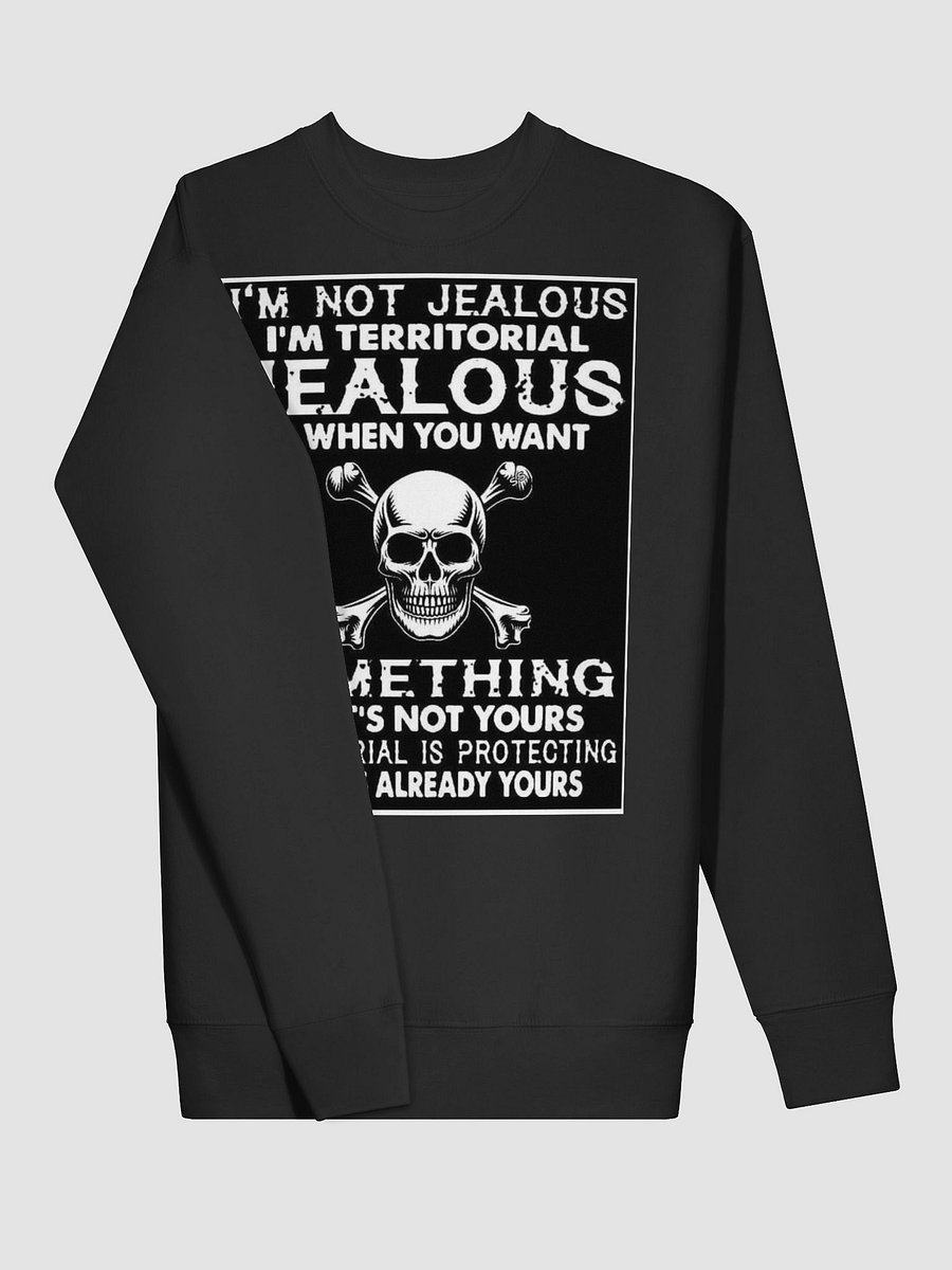 im not jealous pullover product image (3)