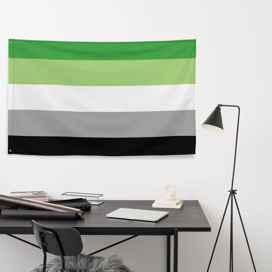 Aromantic Flag product image (9)