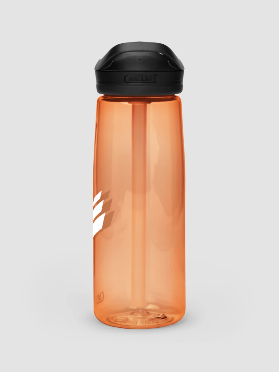 CamelBak Eddy®+ Sports Water Bottle - Desert Sunrise product image (3)