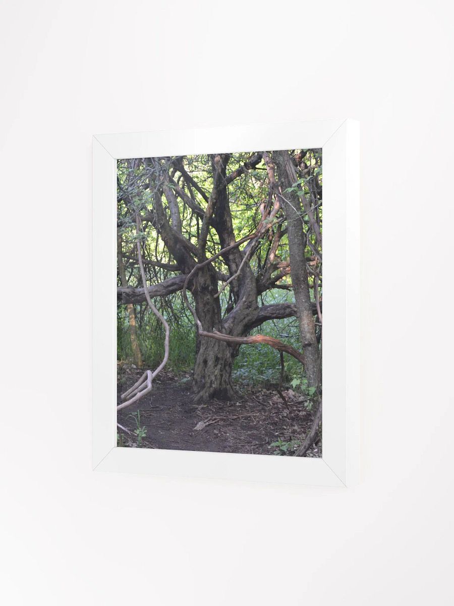 Tree of Branches High Quality Poster product image (16)