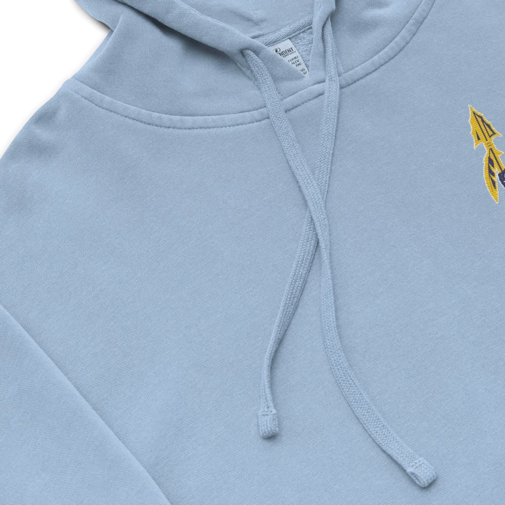 Lake Forest Latin Club Garment-Dyed Hoodie product image (7)