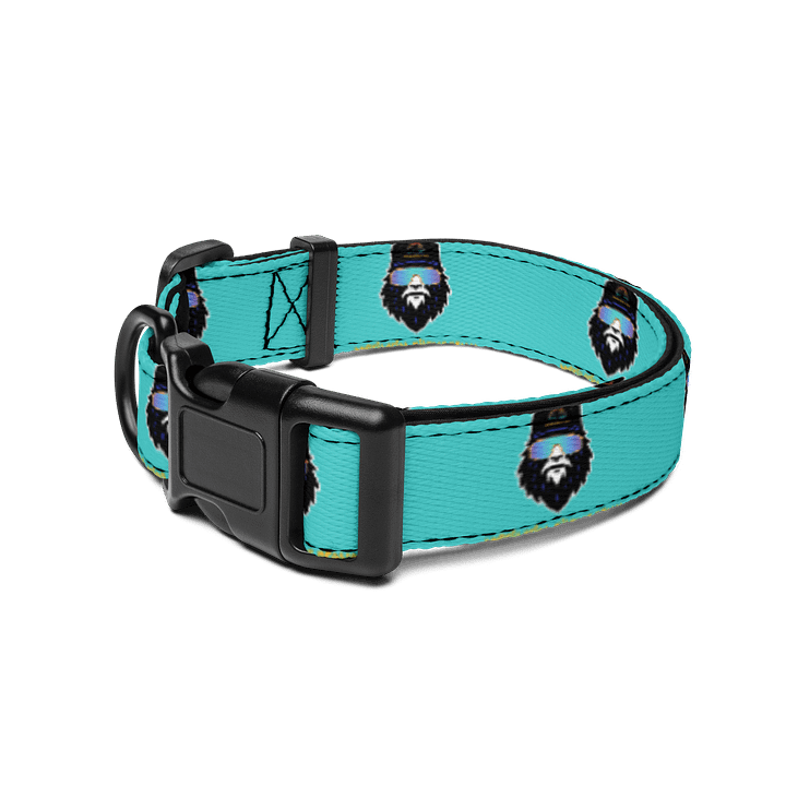 Destination Bigfoot Bronco Monogram Bigfoot Logo Dog Collar (Dark Turquoise) product image (2)