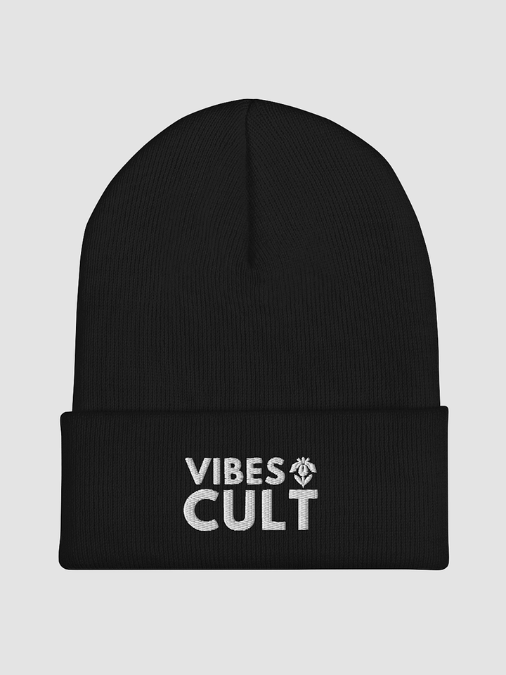 Embroidered Cuffed Beanie - VIBES CULT product image (2)