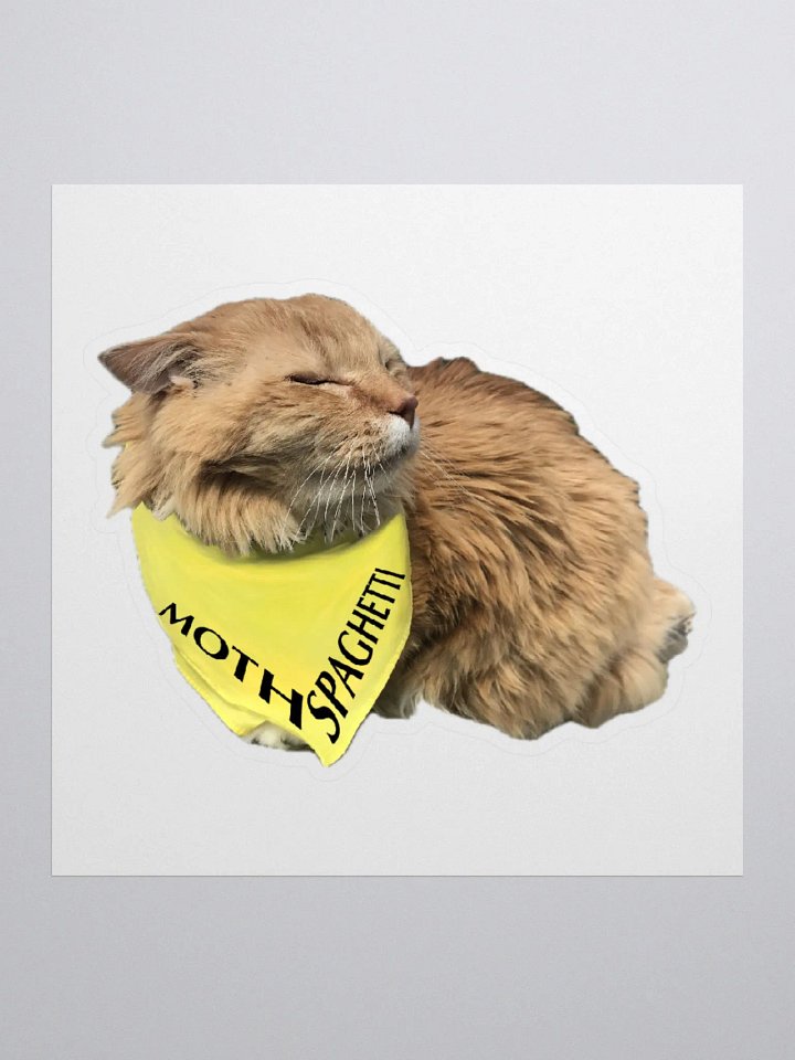 Bandana Boy Sticker product image (1)