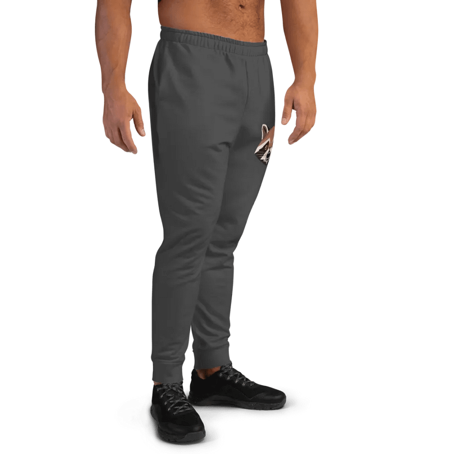 Raccoon Joggers (men's) product image (4)