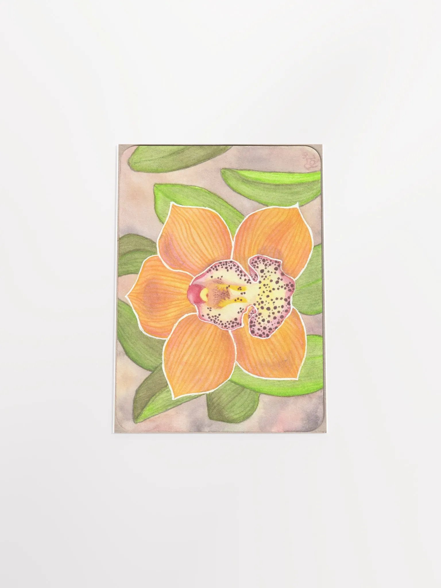 Orchid, Barrita Eminence product image (4)