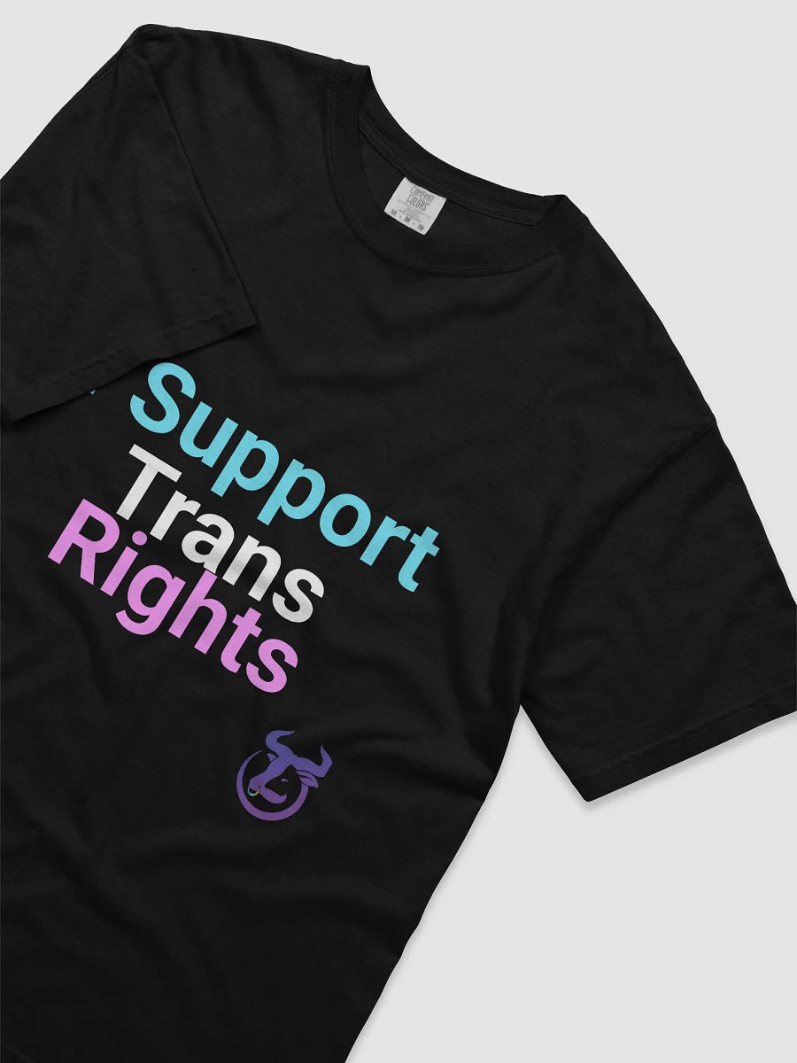 I Support Trans Rights T-Shirt product image (22)