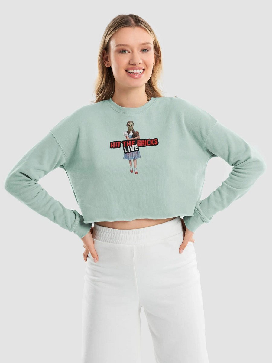 Hit the Bricks Crop Sweatshirt product image (14)