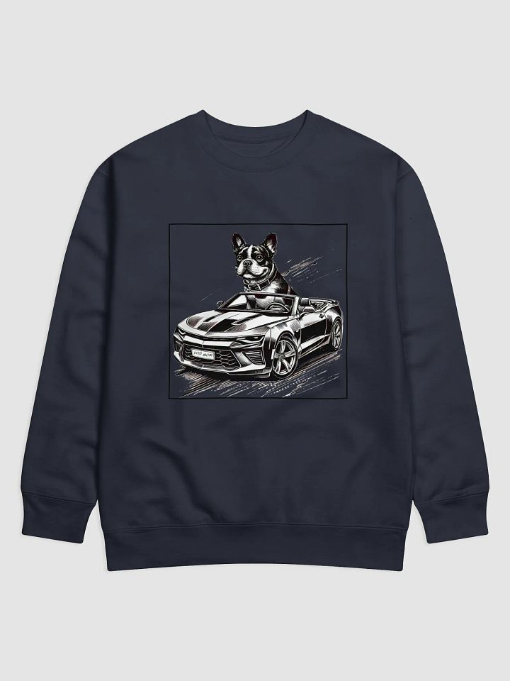 Boston Sweatshirt product image (7)
