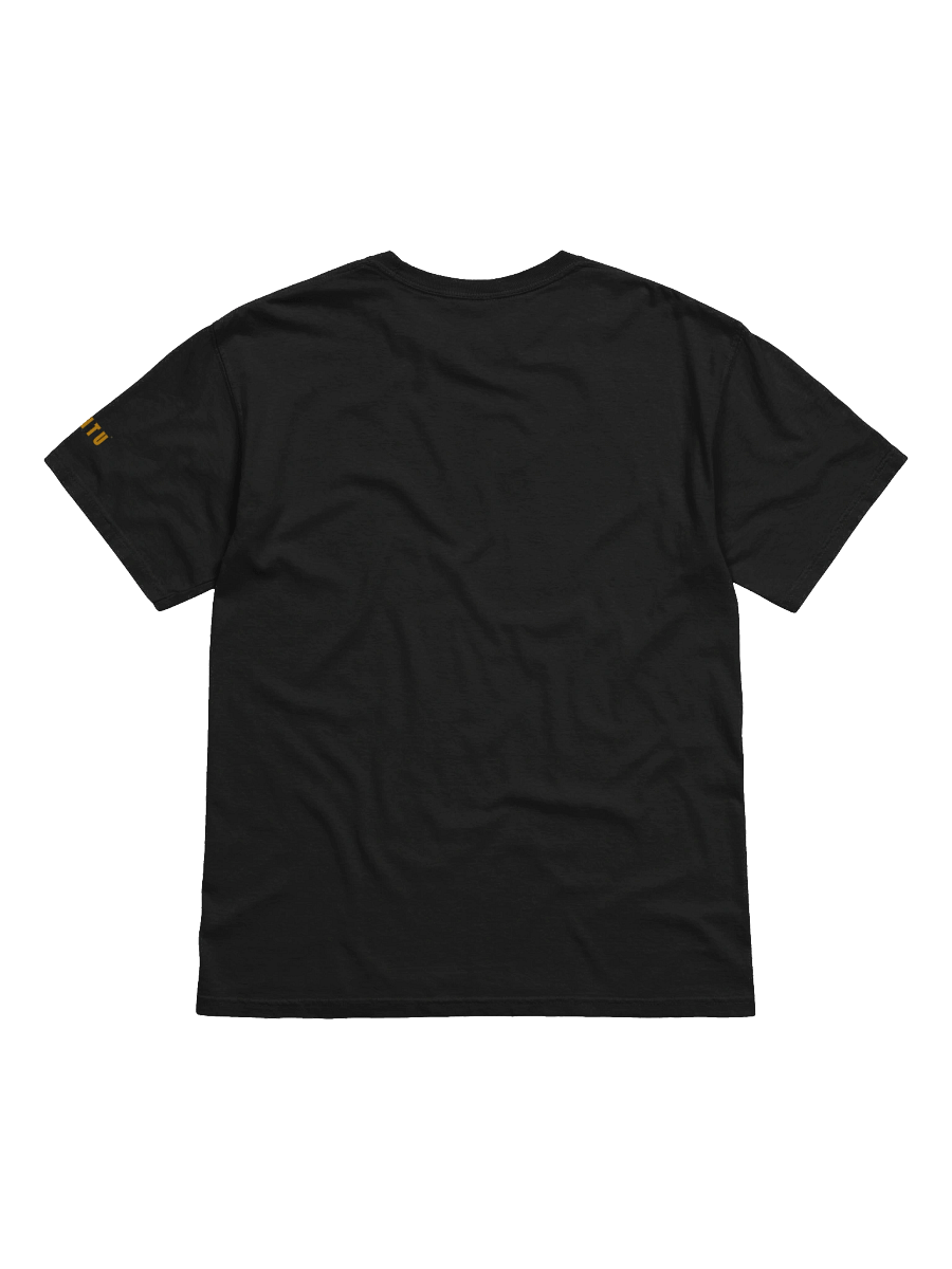 'BANTU' Tee- Shona Princess with Quail and Guinea Fowl Feathers Crown. product image (8)