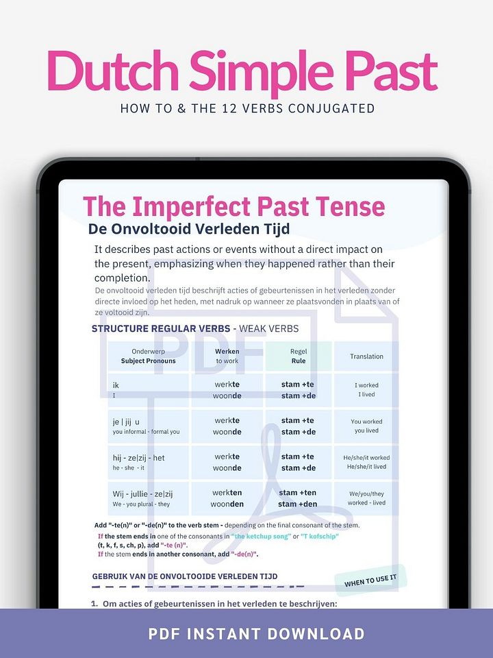 The Simple Past product image (1)