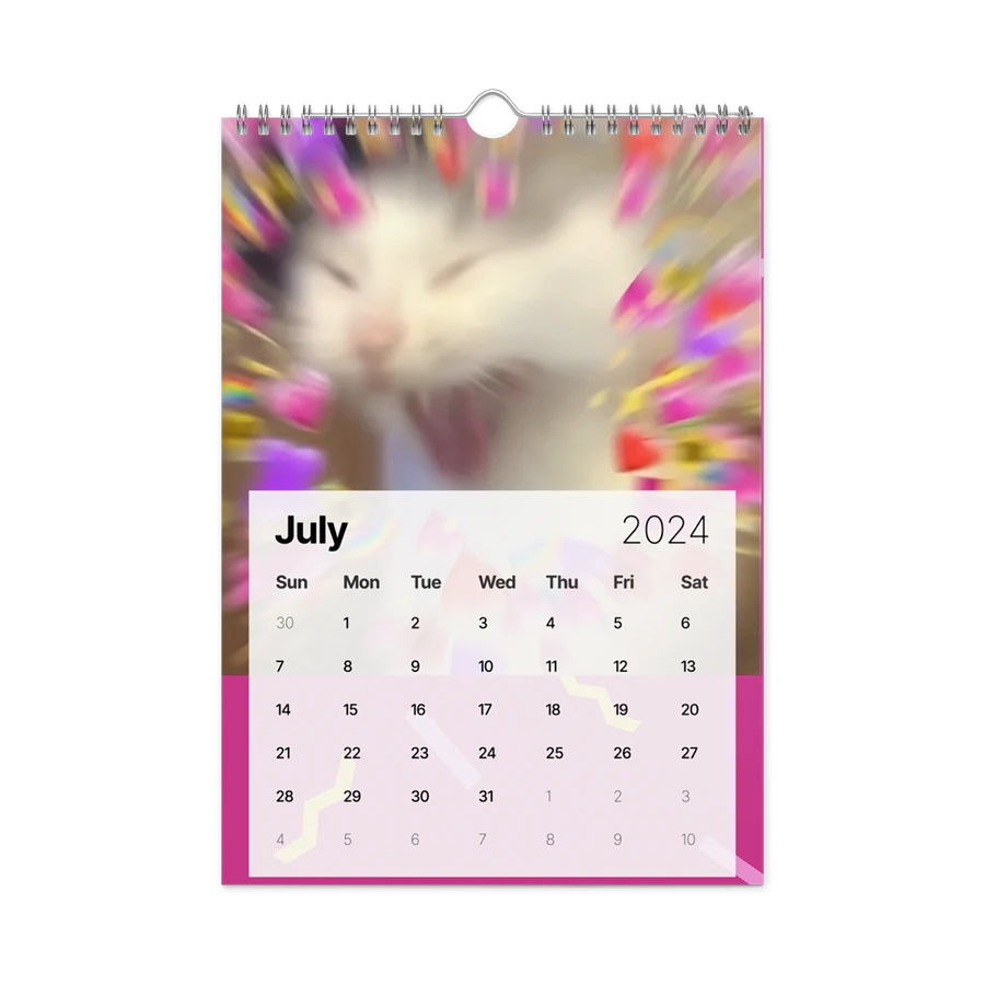 Wall Calendar (2024): Meme Cats product image (10)