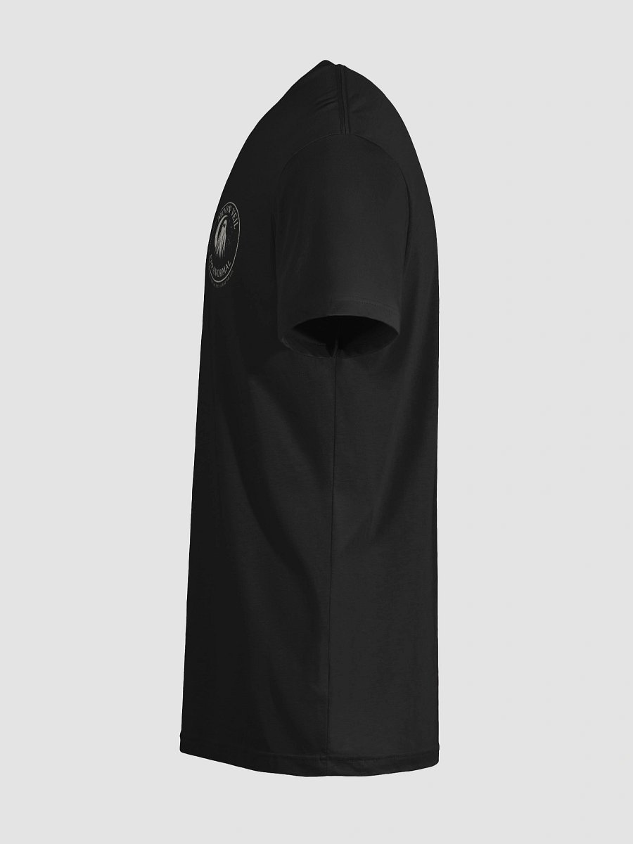 Moon Veil Ghost T Mens product image (12)