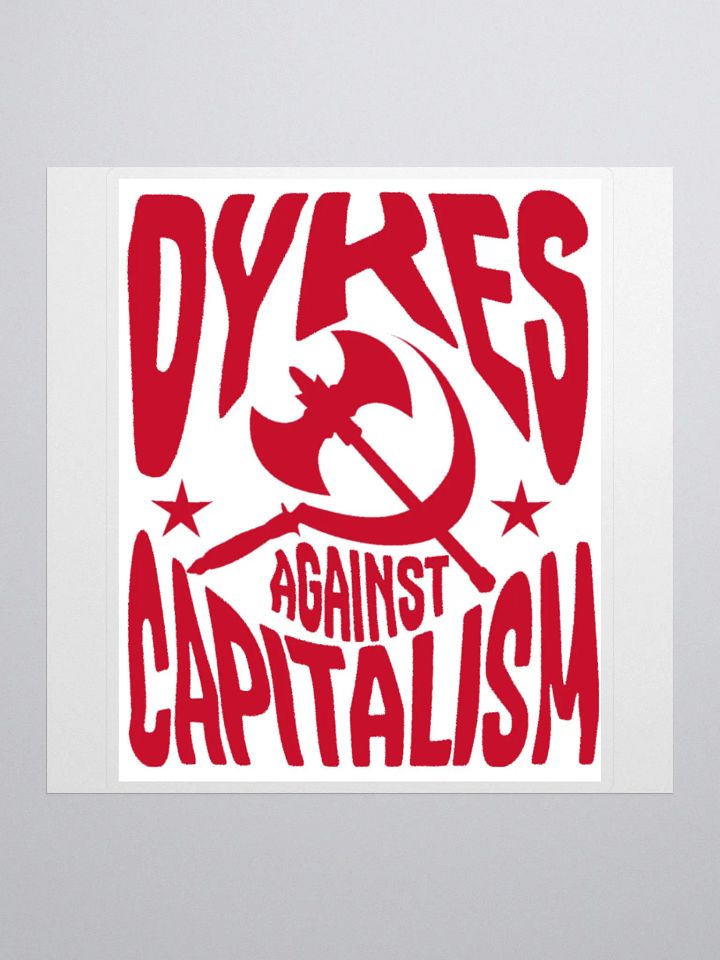 D**** AGAINST CAPITALISM product image (2)