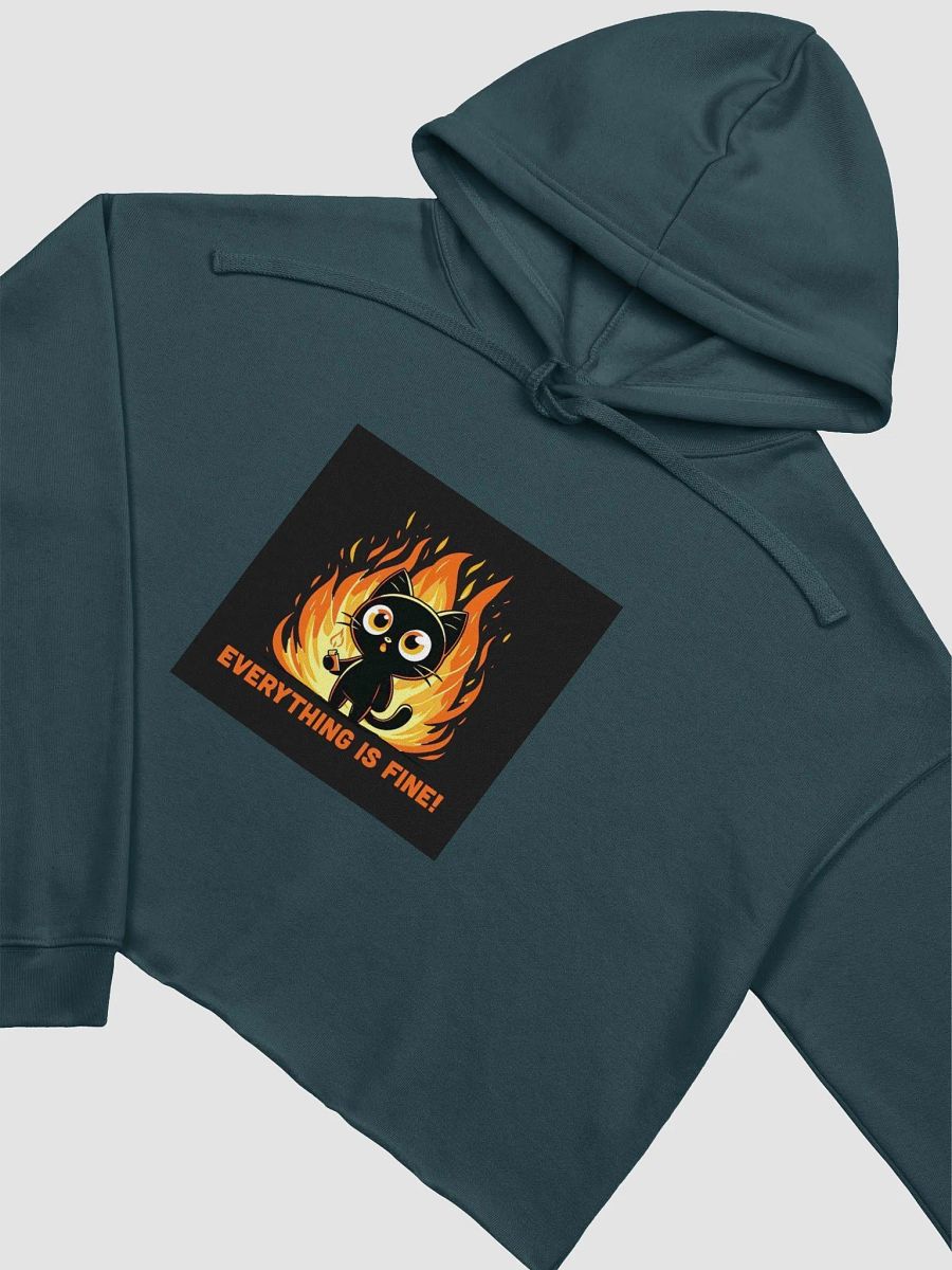 Ironic Feline Chaos in Flames Crop Hoodie product image (23)