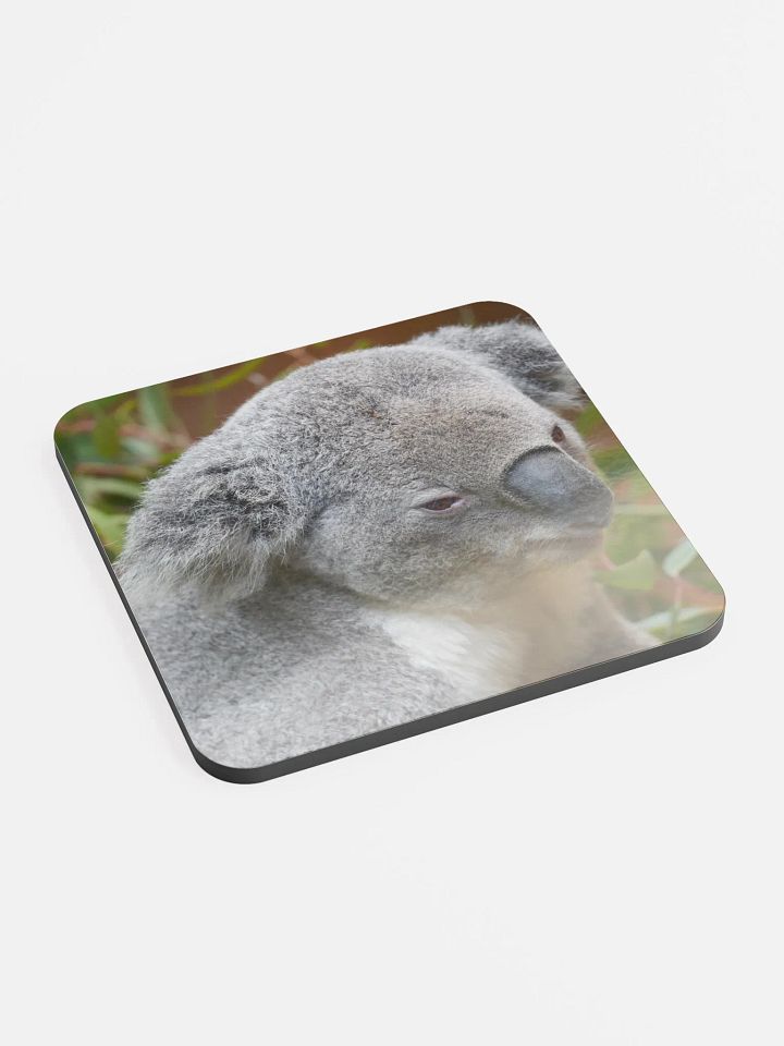 Koala Coaster product image (2)