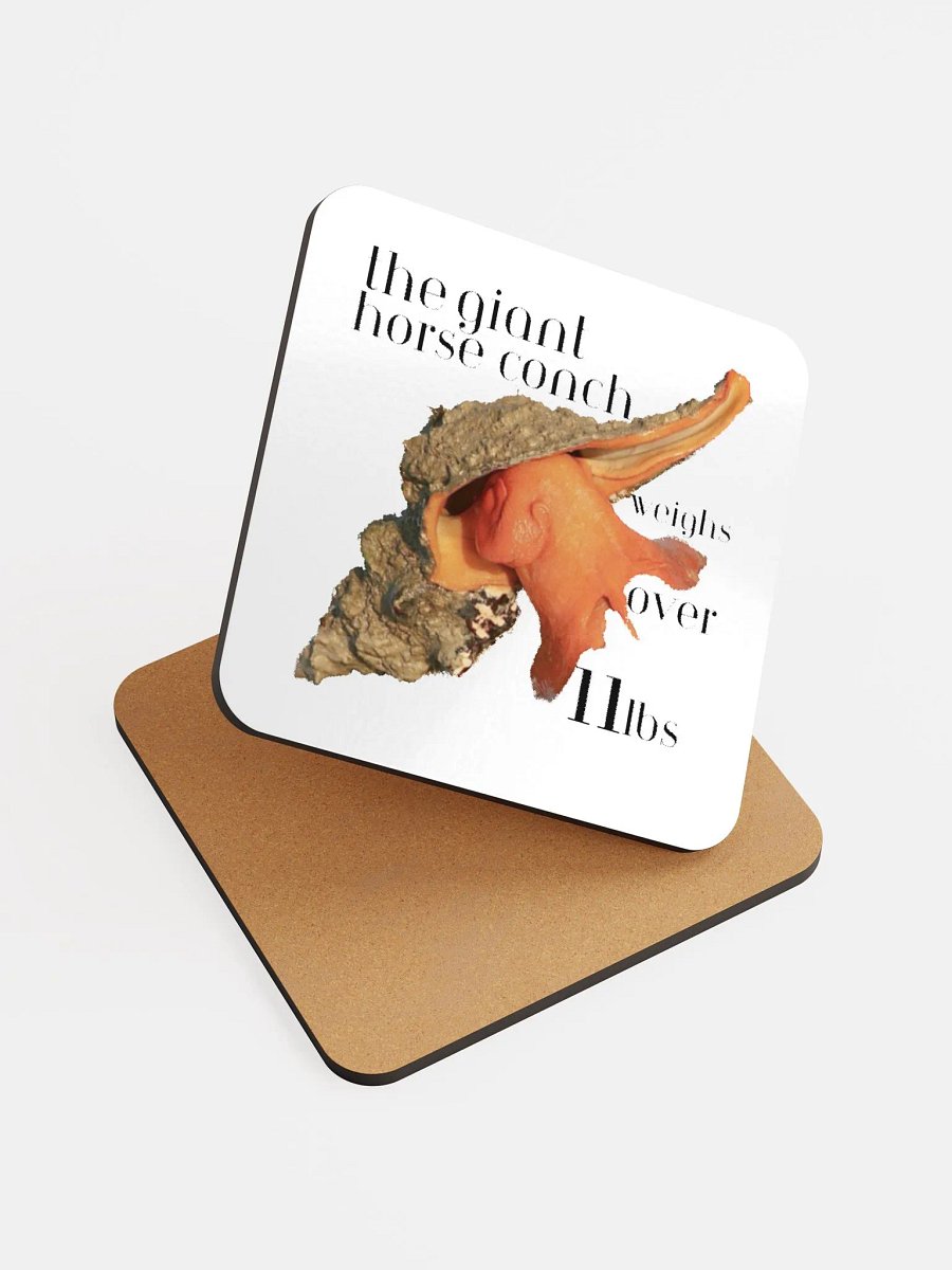 Conch Coaster product image (6)