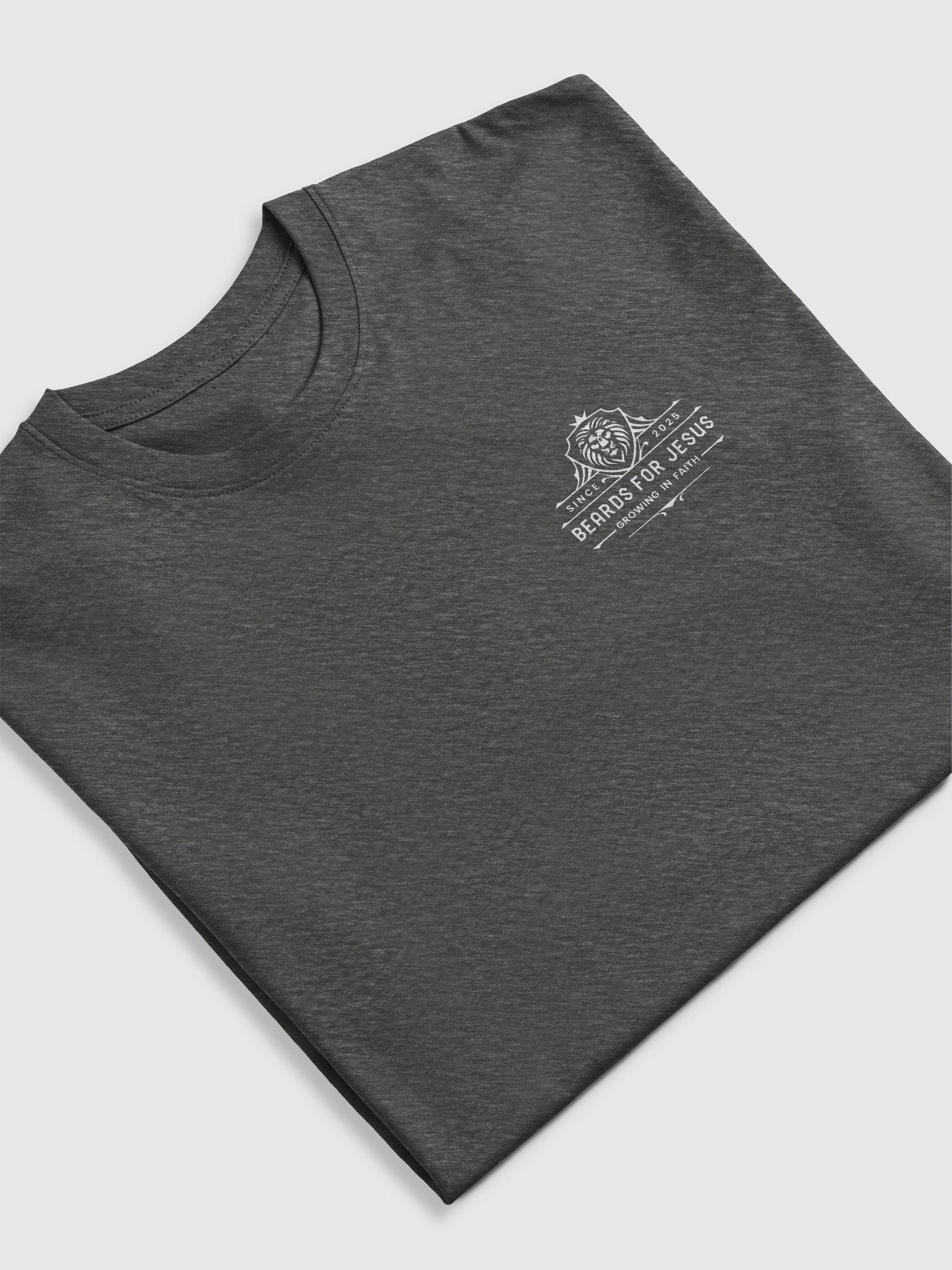 Beards For Jesus Logo Tee - Men's Heavyweight product image (32)