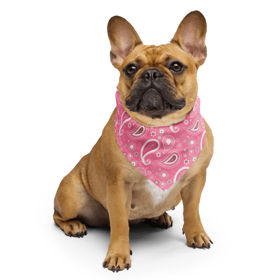 Pink Paisley Dreams All-Over Print Bandana product image (5)