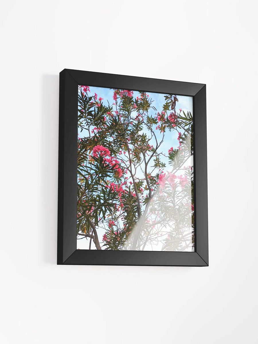 Oleander Tree in the SpringTime Framed High Quality Photograph product image (2)