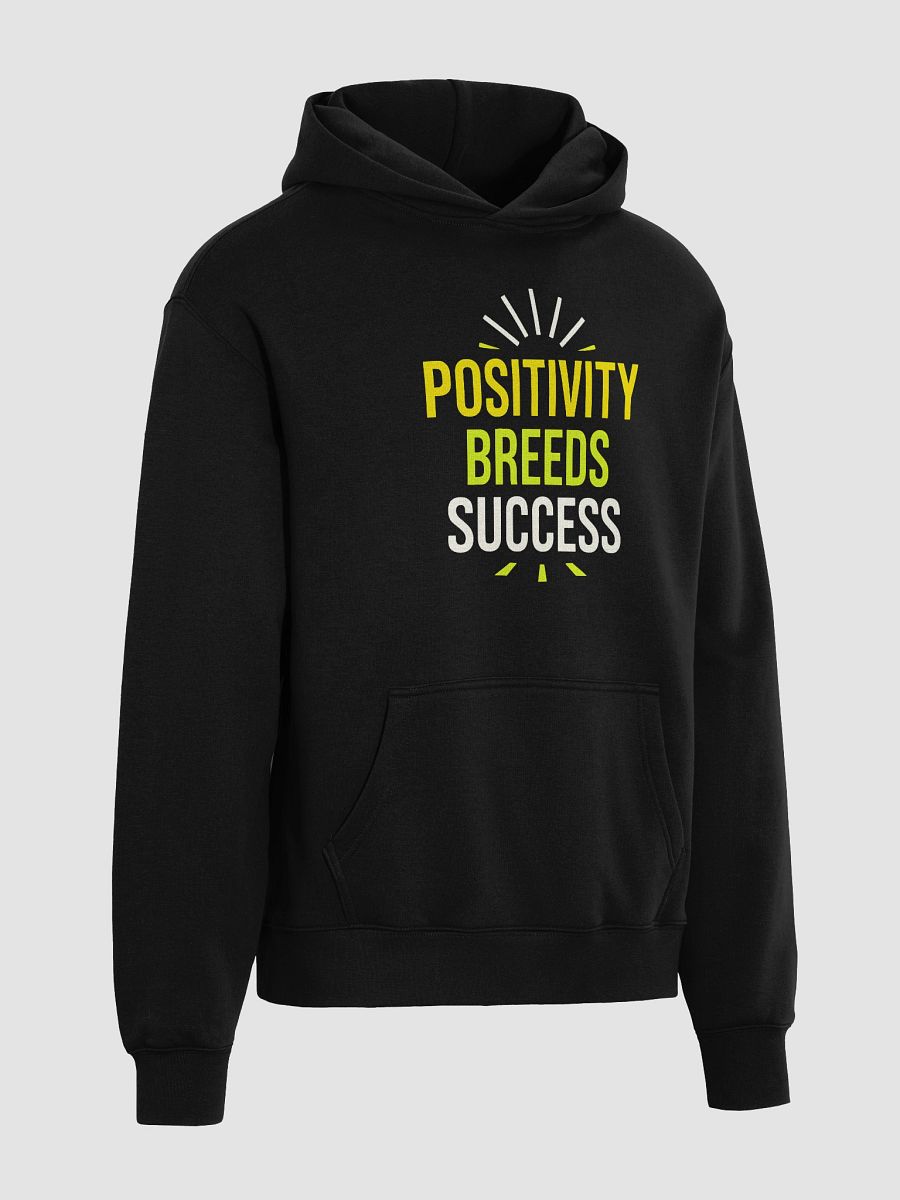Unlock Your Inner Light with Paul Rudd’s Inspiring Hoodie:  Positivity Breeds Success — Wear the Mindset That Can Change Your Life product image (4)